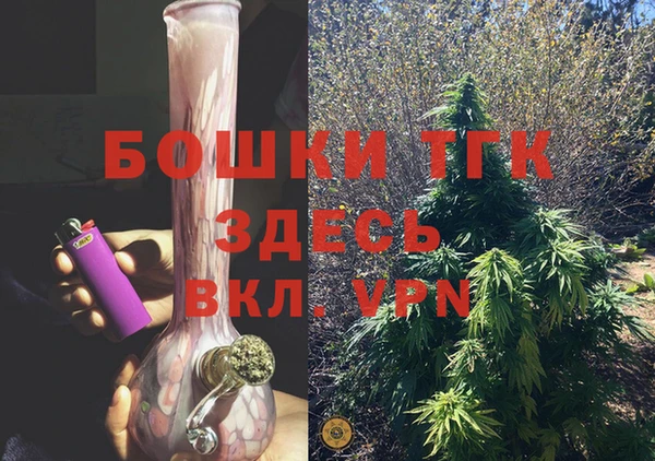 индика Абинск