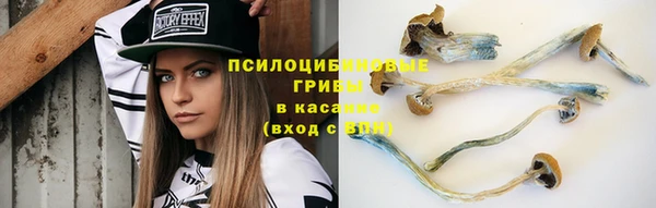 ГАЛЛЮЦИНОГЕННЫЕ ГРИБЫ Абдулино