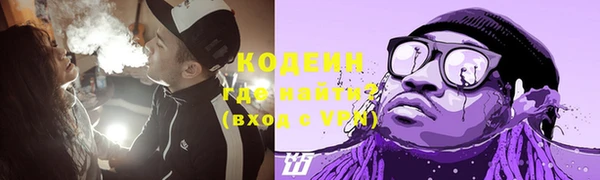 индика Абинск