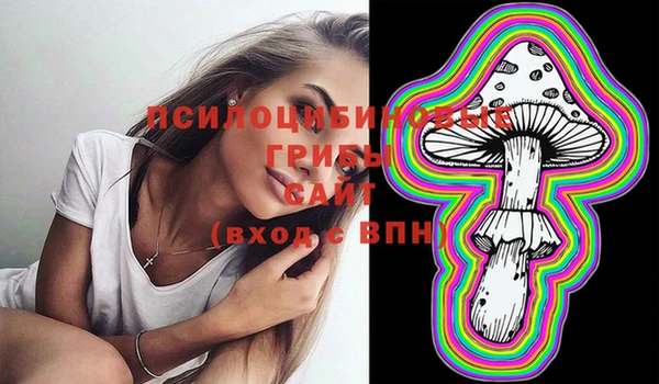 индика Абинск