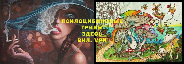 бошки Алексеевка