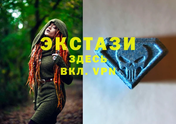 индика Абинск