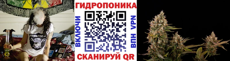 купить закладку  Орск  Канабис индика 